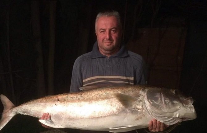 Podgoričanin ulovio gofa od 50 kilograma