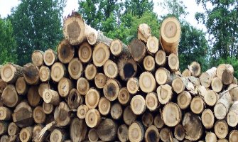 Proizvodnja šumskih sortimenata 33 odsto manja 