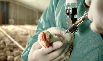 Pojačati kontrolu namirnica kako bi se zaštitili građani