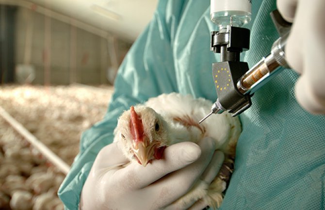 Pojačati kontrolu namirnica kako bi se zaštitili građani