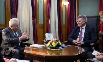 Odlična saradnja CG i britanskog parlamenta