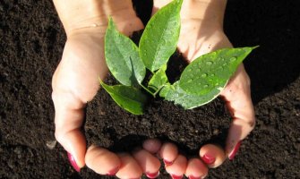 Hitno ući u procesuiranje krivičnih djela protiv životne sredine