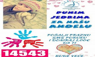 Za dan poslato 27.510 poruka za Anđelu