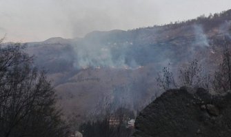 Požari u crnogorskim šumama sve češći i u zimskim mjesecima