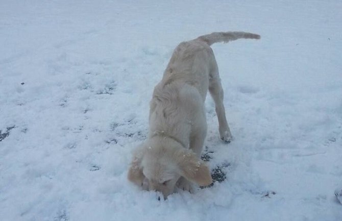 Evo kakvo nas vrijeme očekuje poslednjih dana ove godine