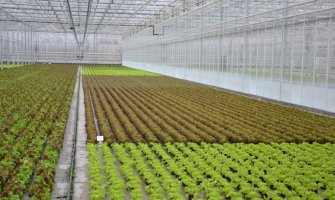 Evo kako da zaštitite plastenike i proizvodnje u zaštićenom prostoru od minusa i snijega