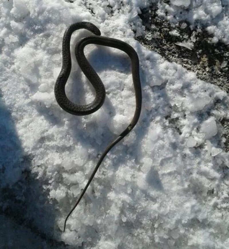 159419791223512064409690432429738n