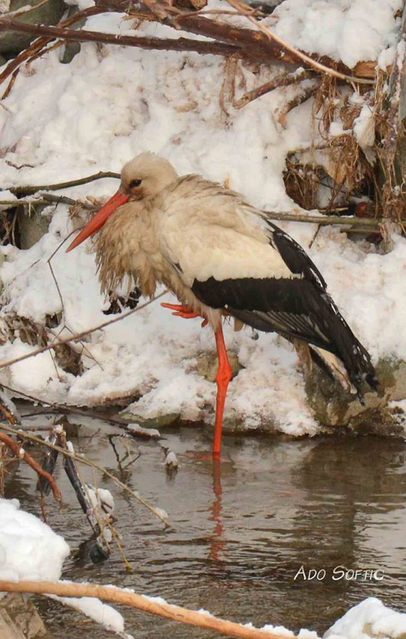 1587184212219347945651531586590398941806530n