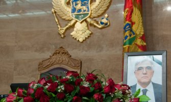 Održana komemorativna sjednica povodom smrti Siniše Stankovića