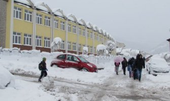 Spašavali bolesne i zavijane u Pljevljima i Danilovgradu
