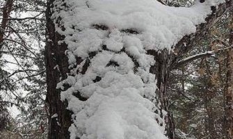 Oblačno uz snijeg, na jugu kiša i jak vjetar