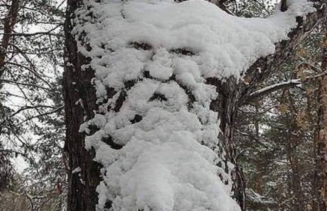 Oblačno uz snijeg, na jugu kiša i jak vjetar