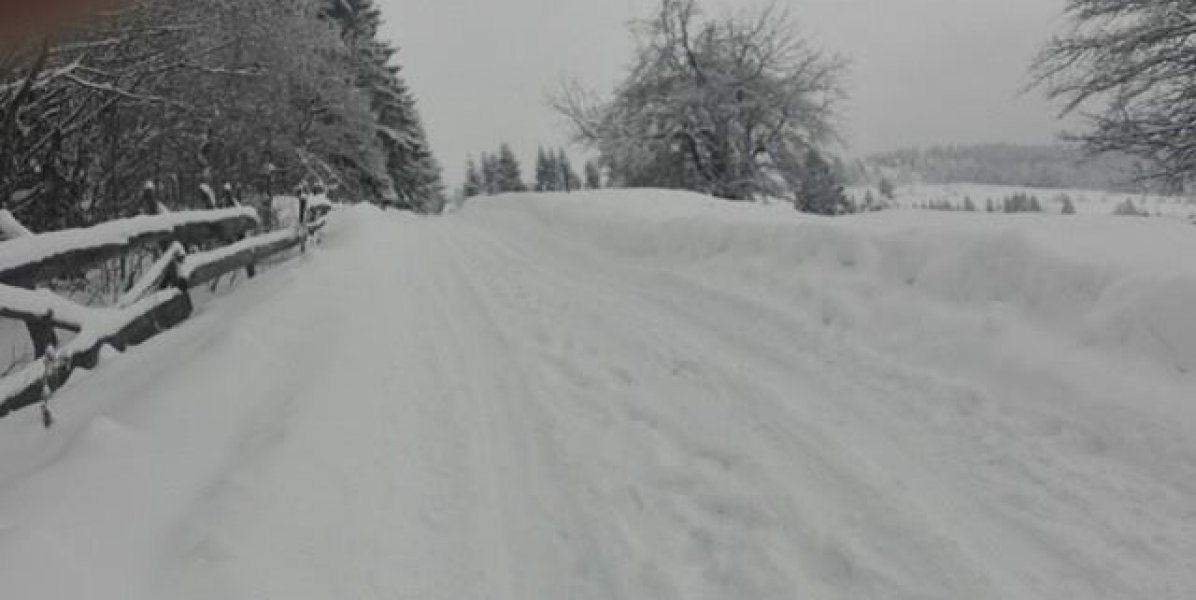 1617664110212277474239950823660449n