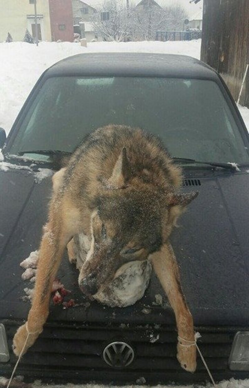 1614450810212278479585083449396911n