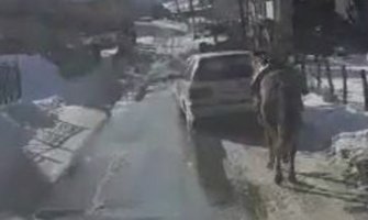 Petnjica:  Identifikovana lica koja su vozilom vukla konja