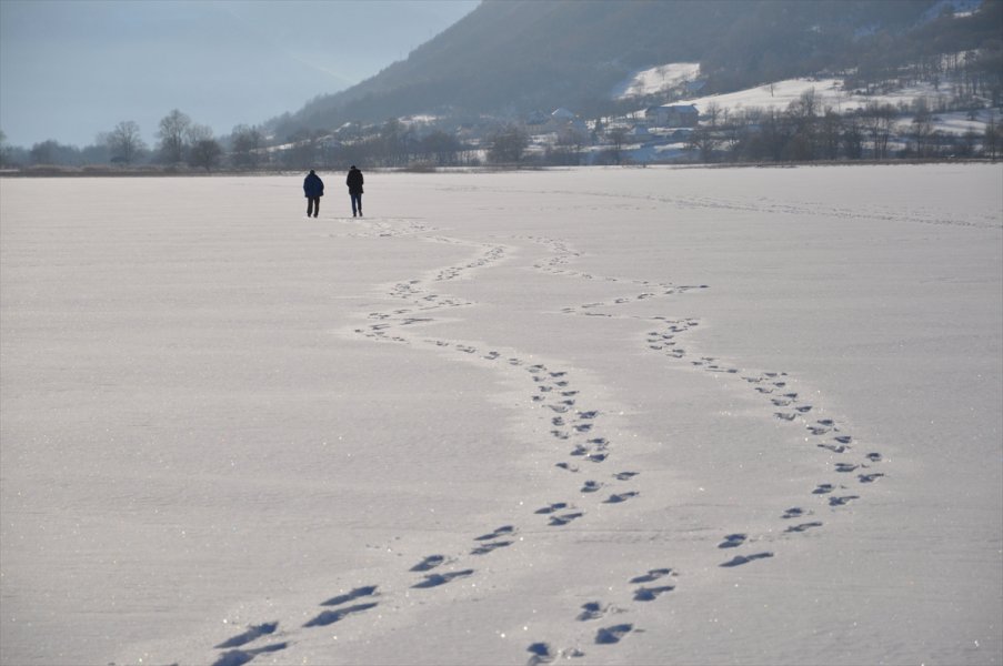 2017020522168057418618086Web