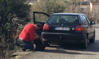 Nesavjesni vlasnik ostavio psa na ulici u Pričelju (FOTO)