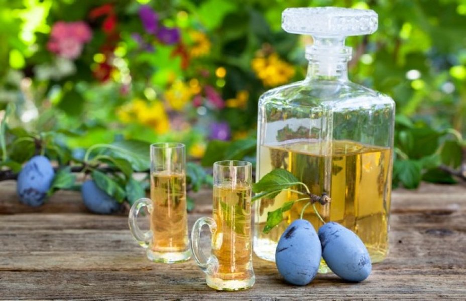 sljivovicarakijafotoshutterstock1453134957826635