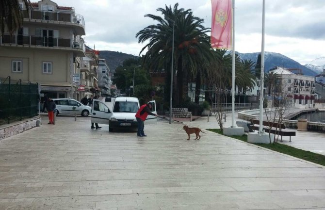 Tivat: Pitbul usmrtio pudlicu, pa napao majku sa djetetom (FOTO)