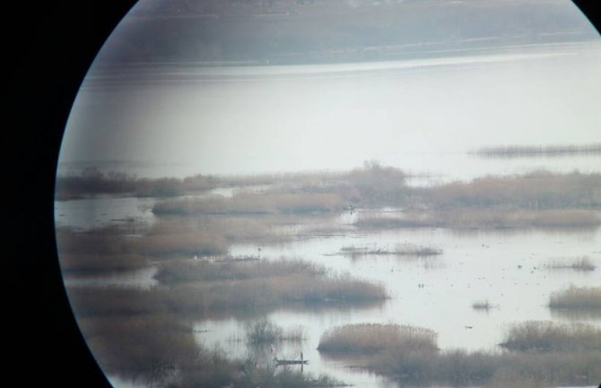 Skadarsko jezero: Krivolovom uznemiravaju pelikane, oduzeto 20 kg ribe, mreže...