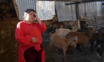 Sutomore: Psi lutalice zaklali 24 koze, 10 nestalo