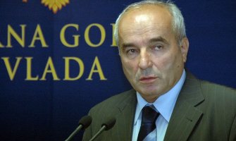 Vujović: MA bi mogao biti privatizovan kada budu imali strateškog partnera