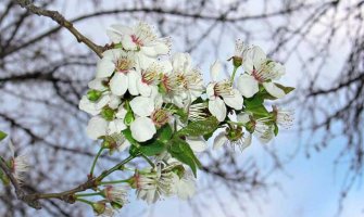 Evo kakvo nas vrijeme očekuje prvog vikenda u martu