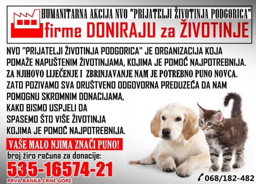 Firmedonirajuzaivotinje