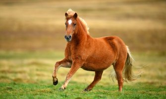 Danas bez padavina, do 18 stepeni