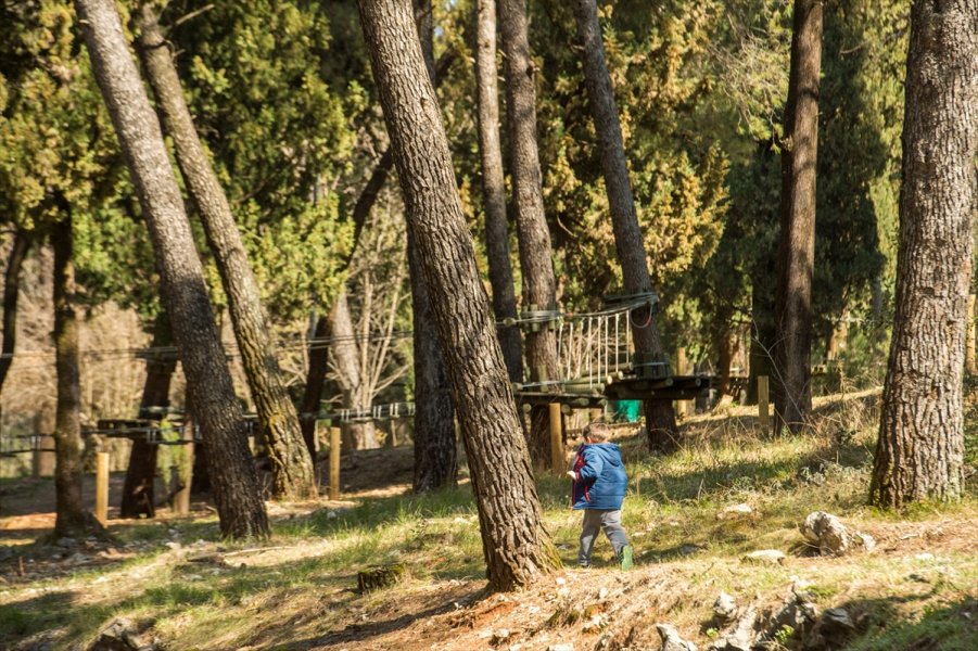 2017031822248058319995791Web