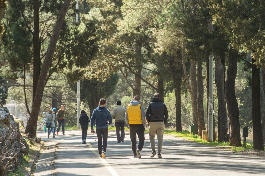 2017031822248058319995792Web