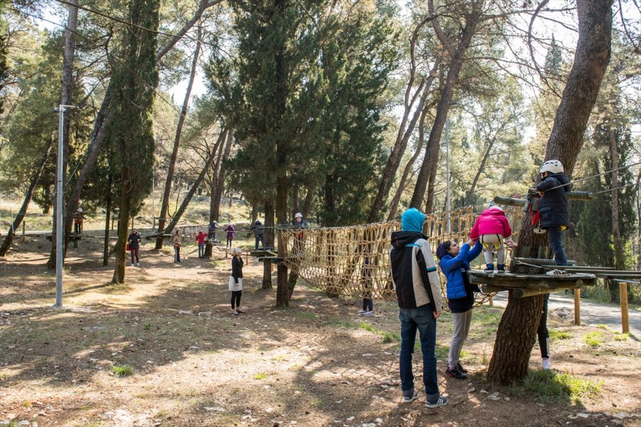 2017031822248058319995800Web