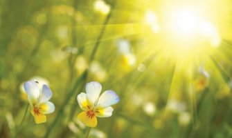 Toplo, do 36 stepeni