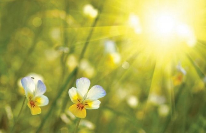 Toplo, do 36 stepeni