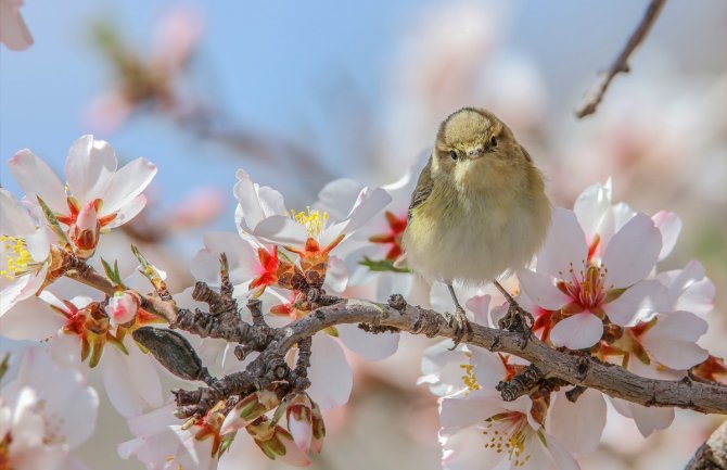 Sunčano i toplo, do 25 stepeni