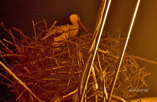 Rode se ipak vraćaju u Berane: Polimska ulica ima razloga za slavlje