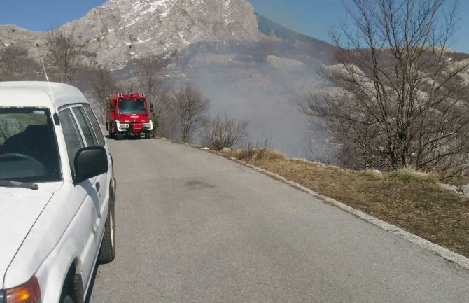 NPCG: Čuvajmo šume od požara