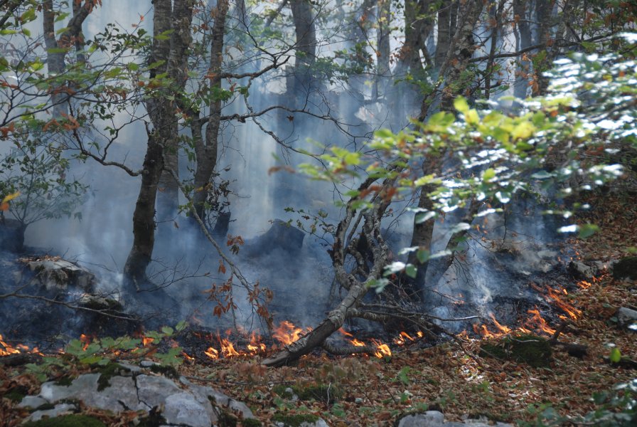 FotoArhivaNPCGpozaruNPLovcen