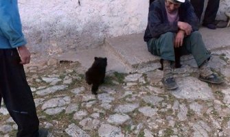 Mečići kao kućni ljubimci porodice Simović