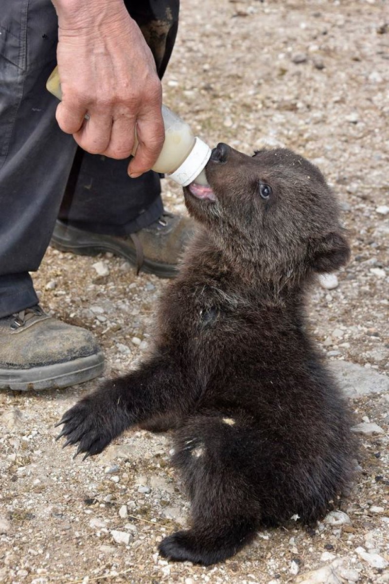 1749923415201561646610573326447770682409848n