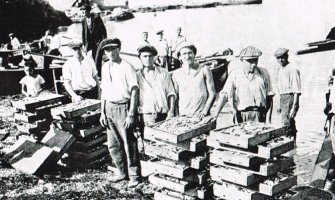 Tradicionalno ribarstvo Boke - razglednica prošlosti i turistički potencijal