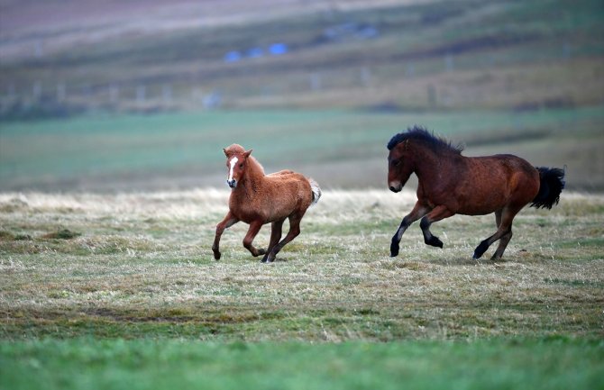 Danas sunčano i toplije, do 24 stepena