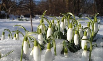 Sjutra kiša, na sjeveru krajem dana i snijeg!