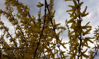 Evo kakvo vas vrijeme očekuje danas i sjutra