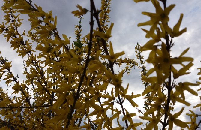 Evo kakvo vas vrijeme očekuje danas i sjutra