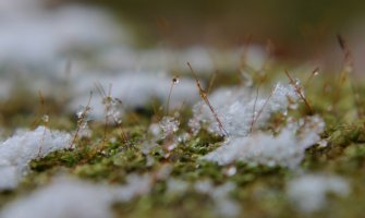 Danas i sjutra kiša, u noćnim satima moguć i snijeg
