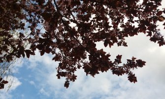 Prognoza za vikend: Pretežno sunčano, moguće slabe padavine