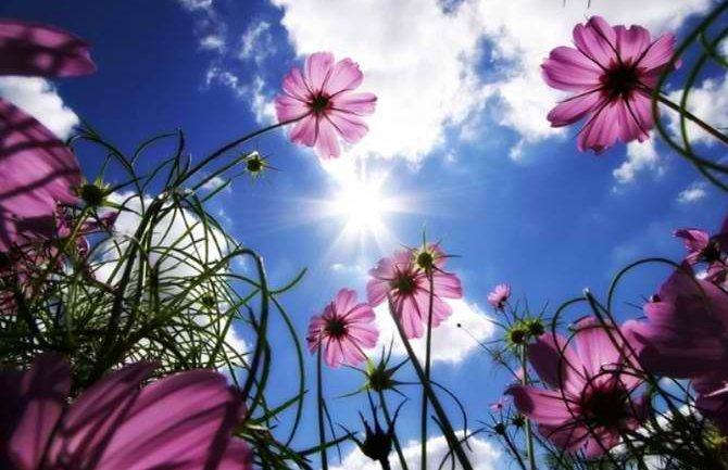 Danas sunčano, do 24 stepena