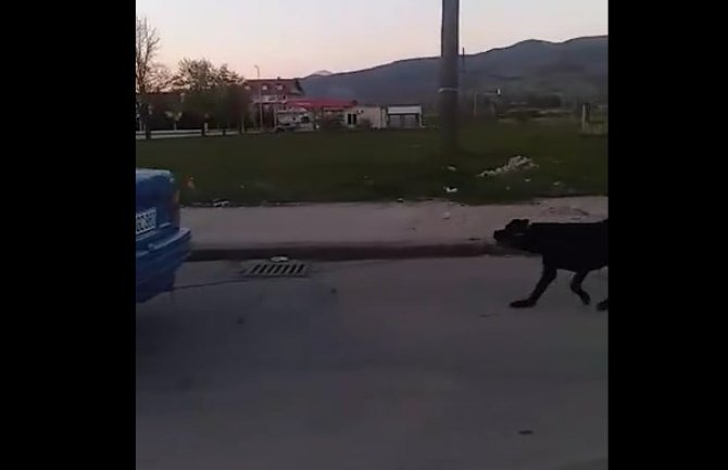 Vozač demantovao da je zlostavljao psa: Nijesam mučitelj, htio sam da ga udomim 