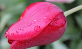 Zahlađenje, kiša i nestabilne vremenske prilike